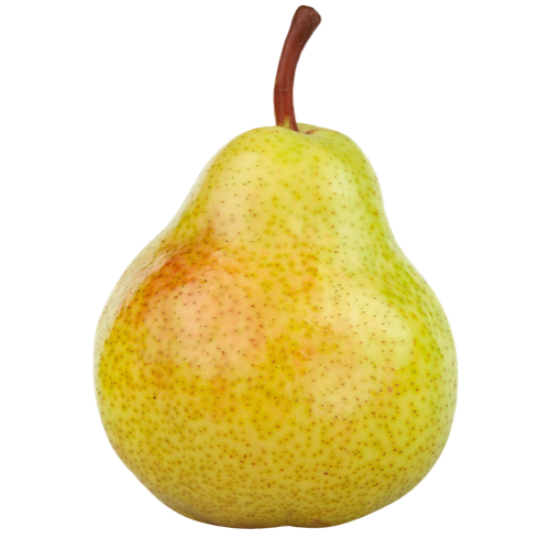 Birne l